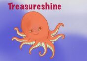 Treasureshine Shop